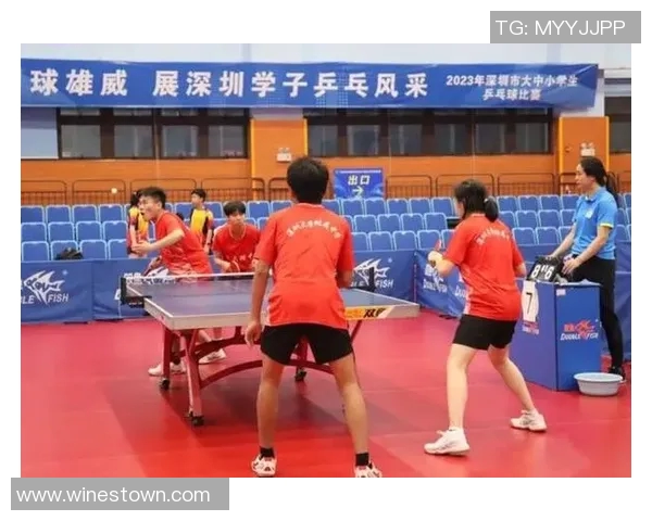 广州乒乓球队与深圳乒乓球队赛后分析意识碰撞的深度剖析