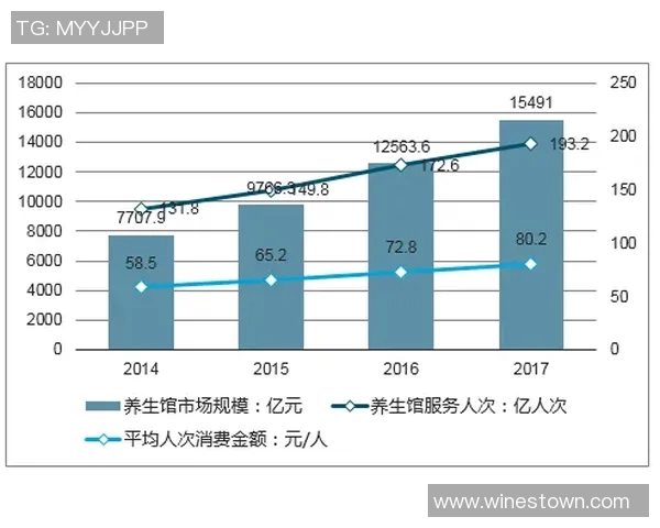 深入分析成都足球队运营策略与市场推广模式的成功之道