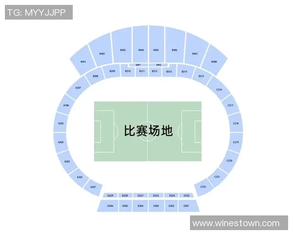 南京足球队区域防守分析：优劣势及其对比赛结果的影响探讨