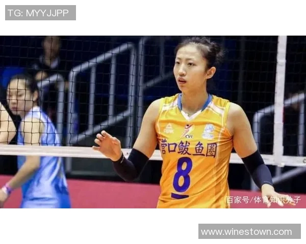 广州与北京排球队的对决分析及力量对比探讨