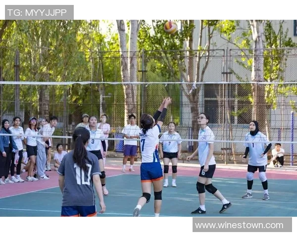 排球团队协作实力评比北京排球队荣获第九名佳绩 排球团队协作实力评比北京排球队荣获第九名佳绩