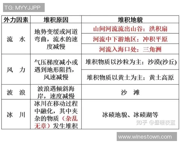 成都与深圳网球队对决后的深度解析与力量对比
