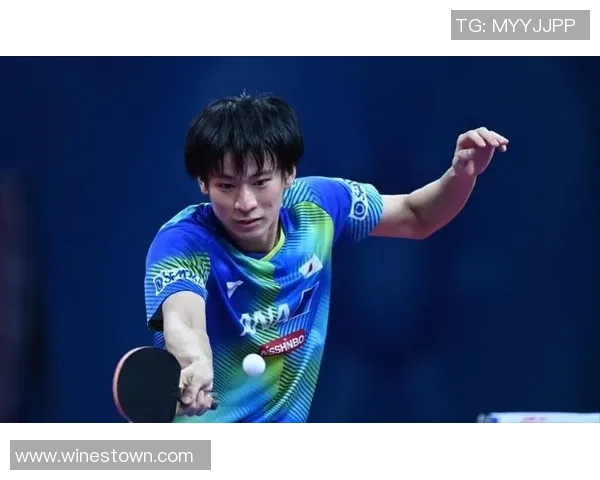 武汉乒乓球队实力强劲荣登全国个人能力排行榜第七位