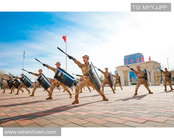 北京排球队的默契配合与战术分析探讨