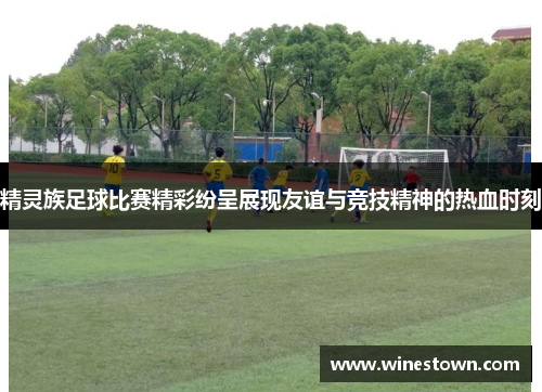 精灵族足球比赛精彩纷呈展现友谊与竞技精神的热血时刻