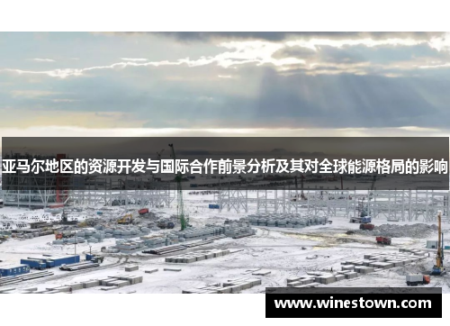 亚马尔地区的资源开发与国际合作前景分析及其对全球能源格局的影响